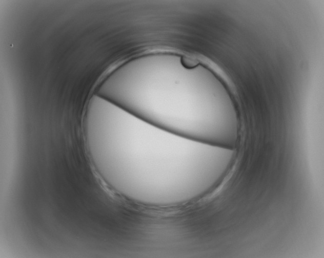 X0000114121145200910051254