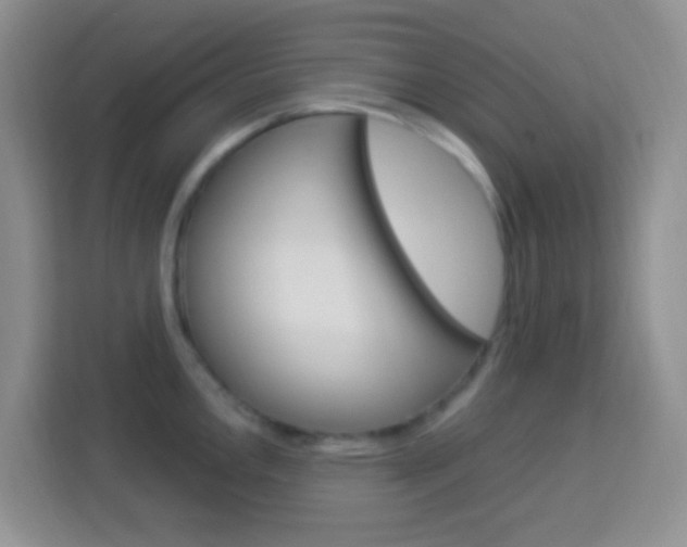 X0000114121146200910051254
