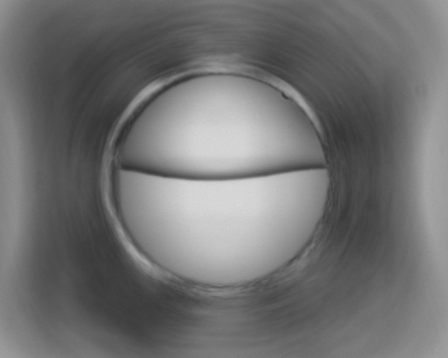 X0000114121147200910051254