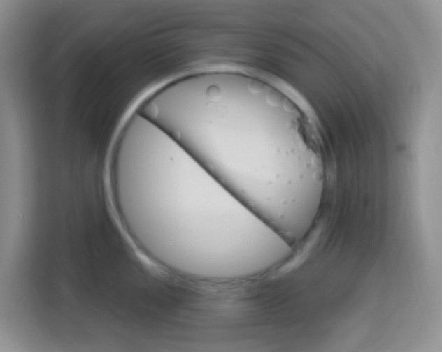 X0000114121149200910051254