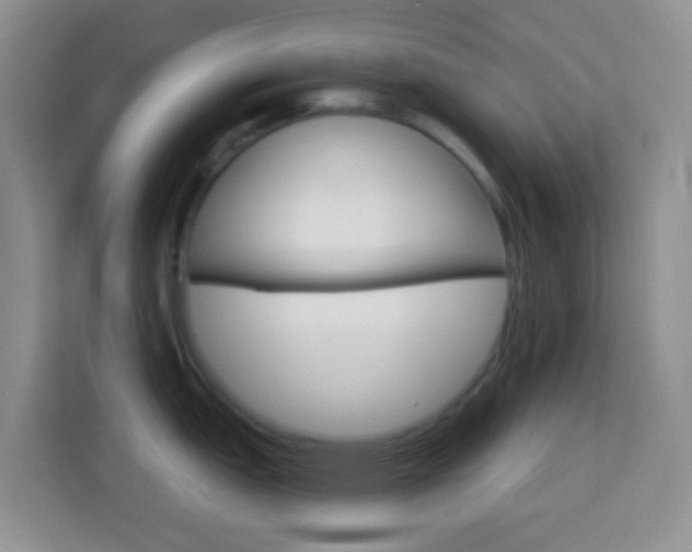 X0000114121151200910051254