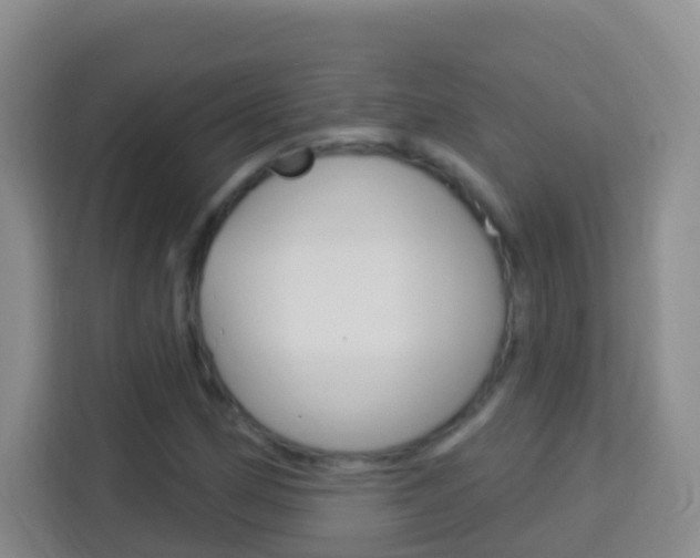 X0000114121162200910051253