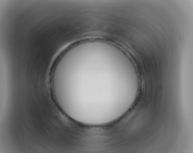 X0000114121164200910051253