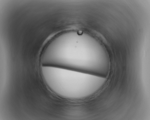 X0000114121168200910051253