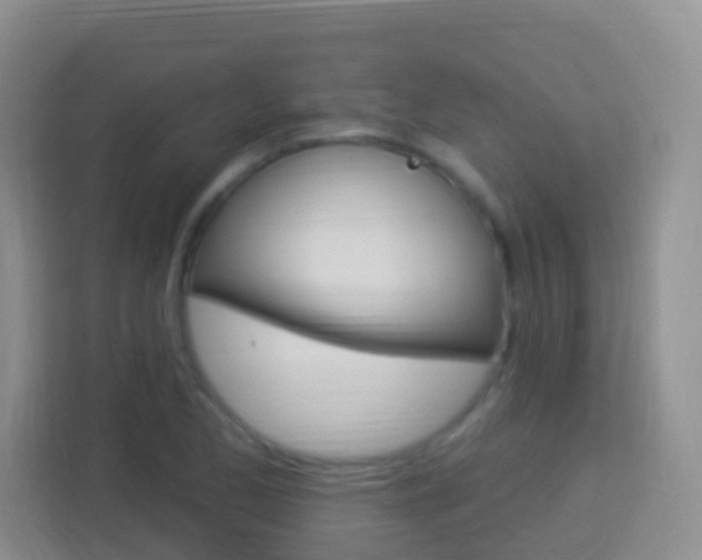 X0000114121173200910051253
