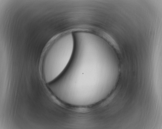 X0000114121180200910051253