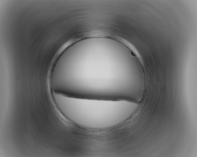 X0000114121195200910051253
