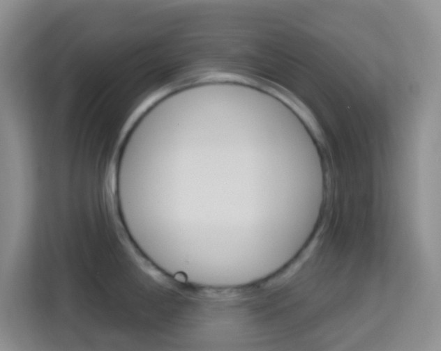 X0000114121198200910051253