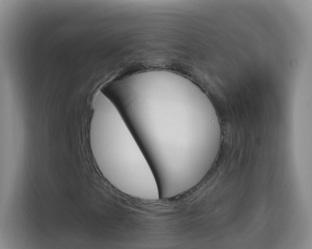 X0000114121201200910051252