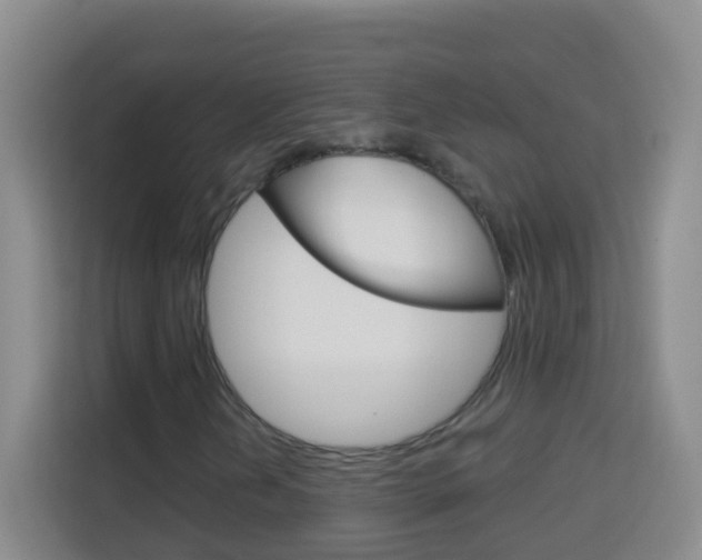 X0000114121202200910051252
