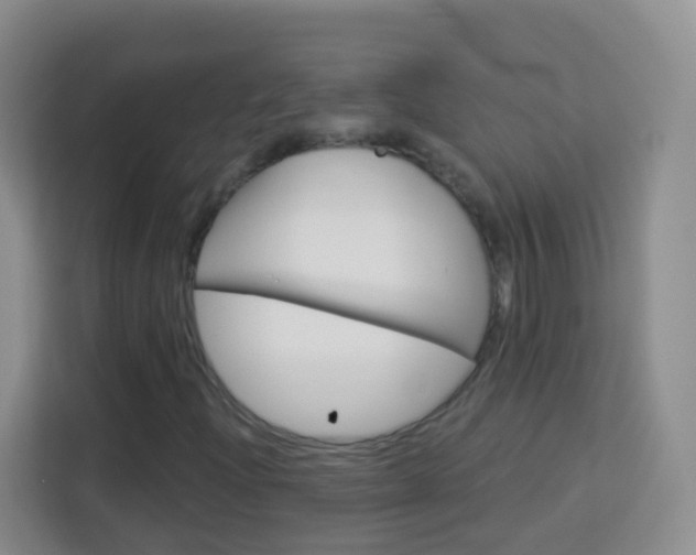 X0000114121204200910051252