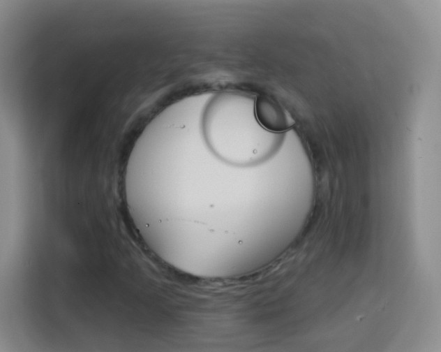X0000114121205200910051252