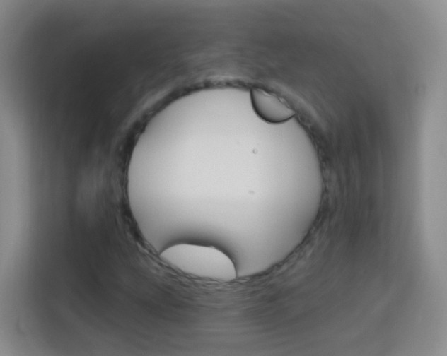 X0000114121207200910051252
