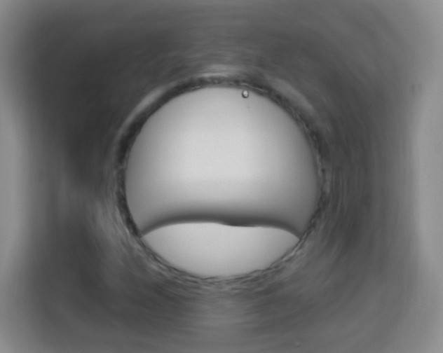 X0000114121208200910051252