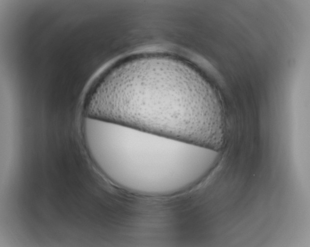 X0000114121216200910051252