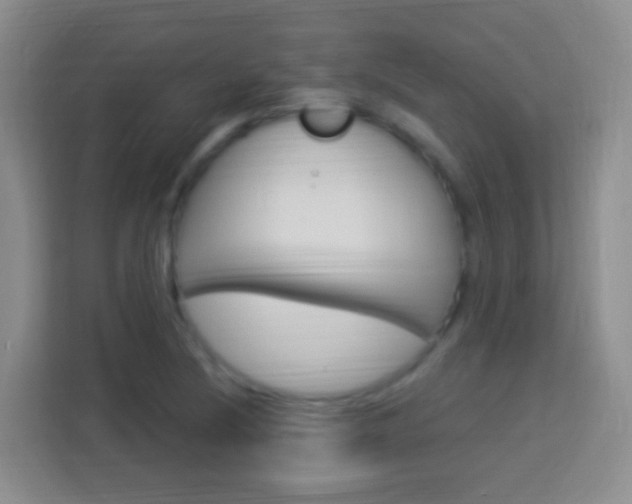 X0000114121220200910051252