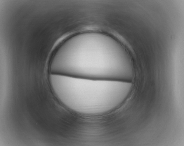 X0000114121222200910051252