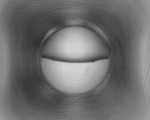 X0000114121226200910051252