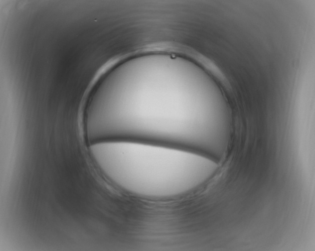 X0000114121230200910051252