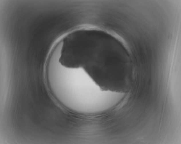 X0000114121231200910051252