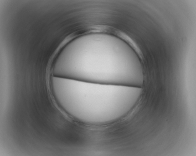 X0000114121235200910051252