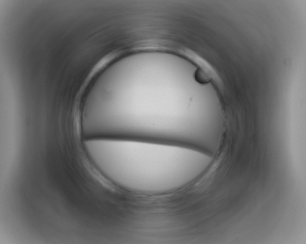 X0000114121238200910051252