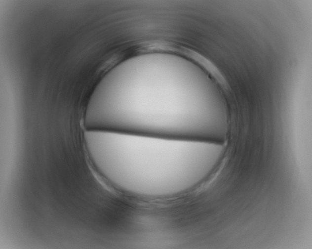 X0000114121241200910051252
