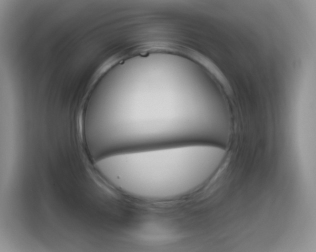 X0000114121242200910051252