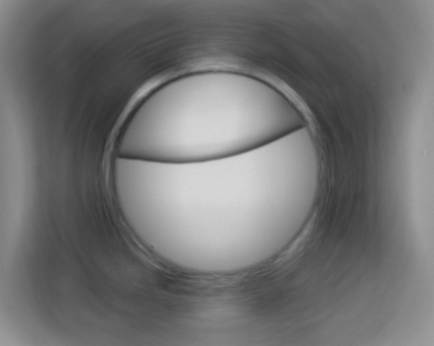 X0000114121246200910051253