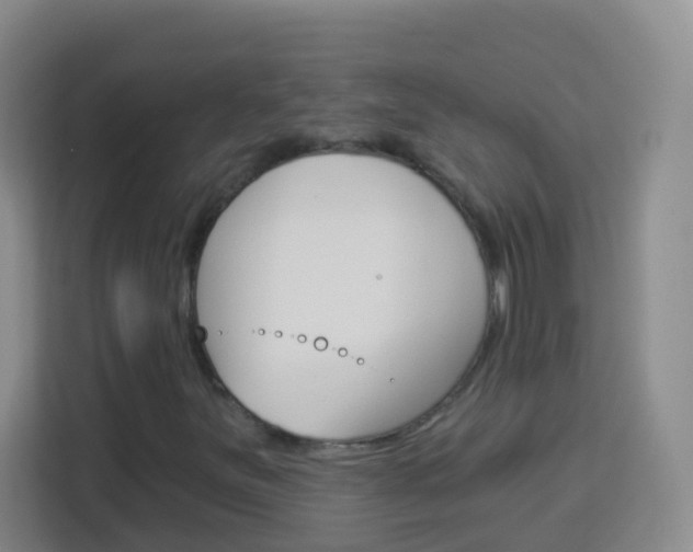 X0000114121251200910051252