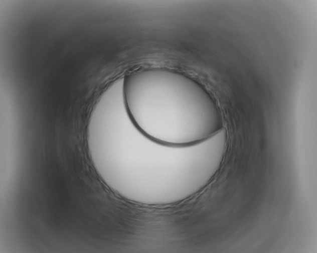 X0000114121253200910051252