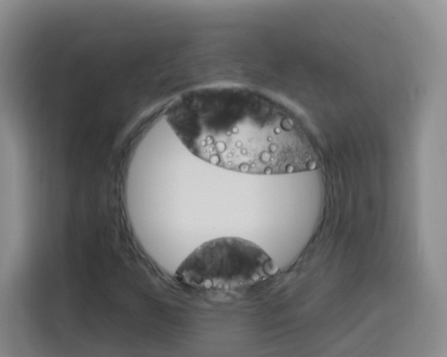 X0000114121255200910051252