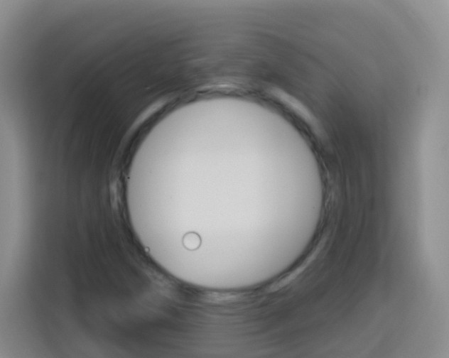 X0000114121258200910051252