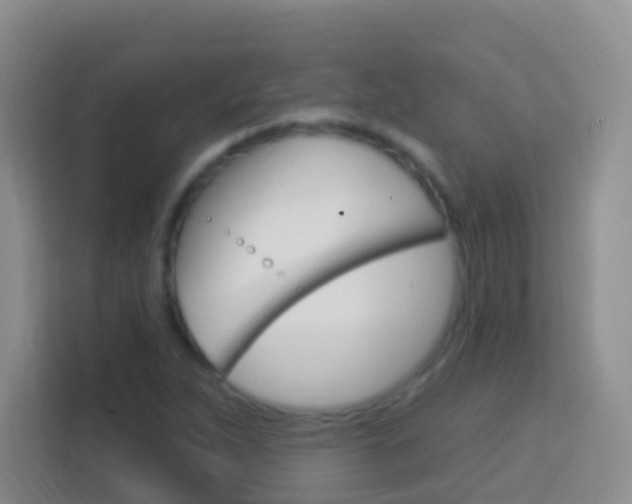 X0000114121263200910051252