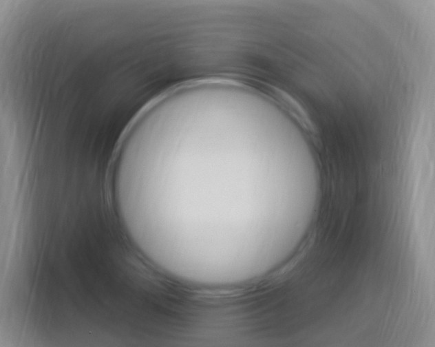X0000114121276200910051252