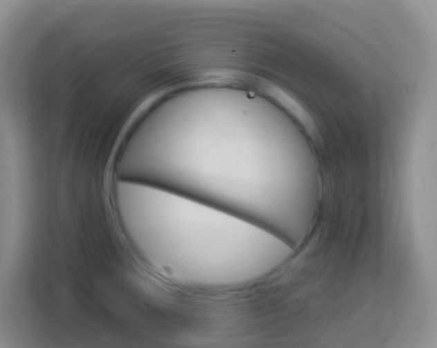 X0000114121283200910051252