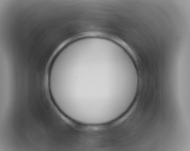 X0000114121286200910051251