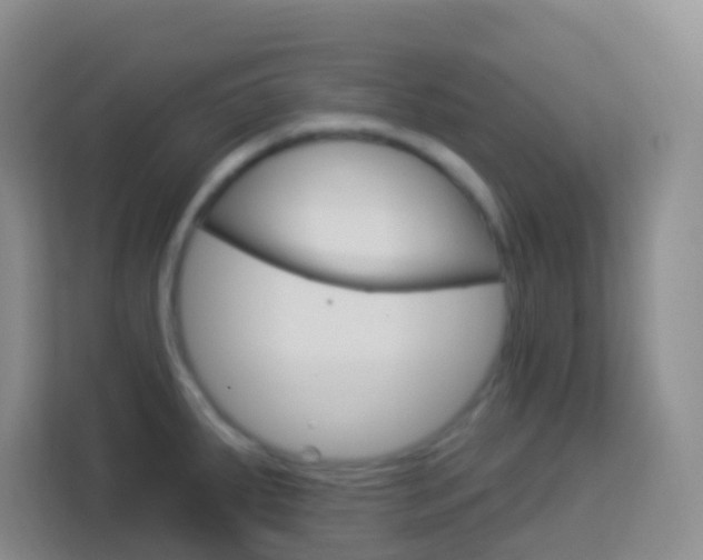 X0000114121287200910051251