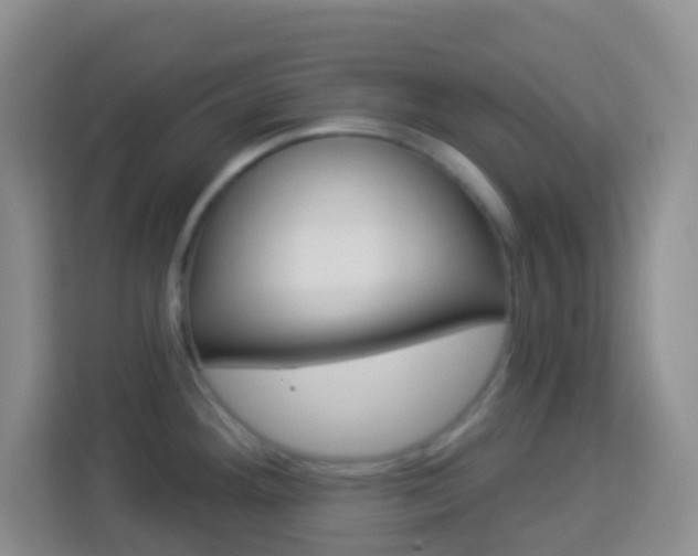 X0000114121292200910051251