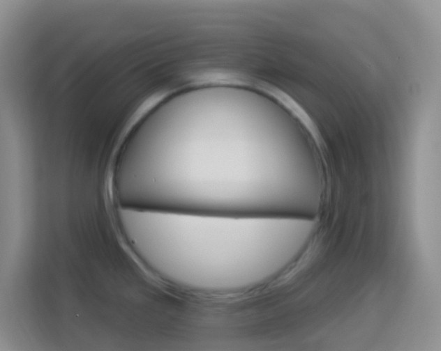 X0000114121293200910051251