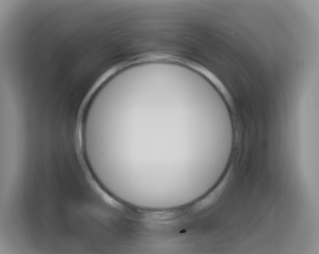 X0000114121294200910051251