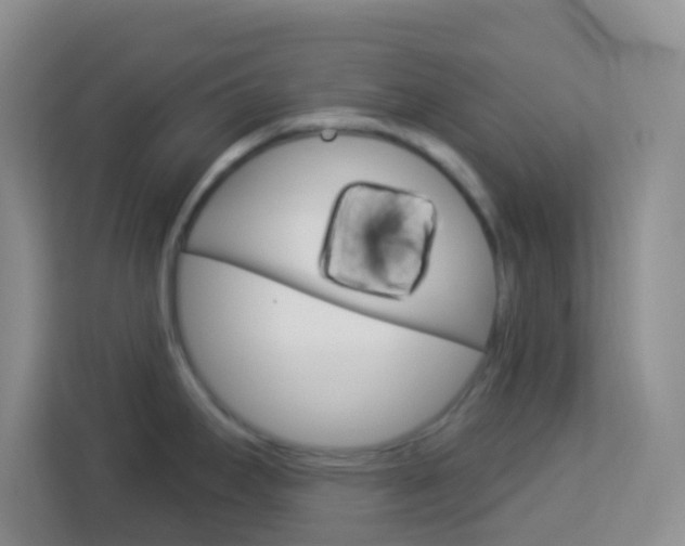 X0000114121295200910051251