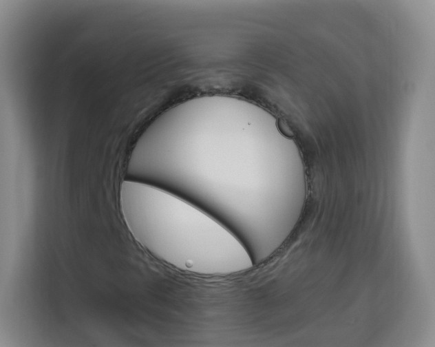 X0000114121297200910051251