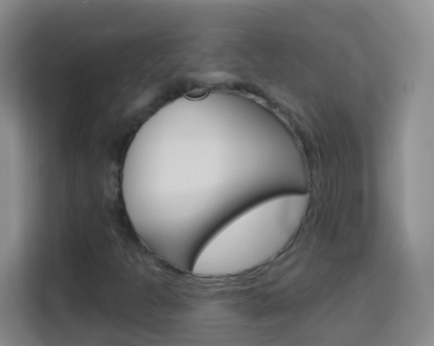 X0000114121301200910051251