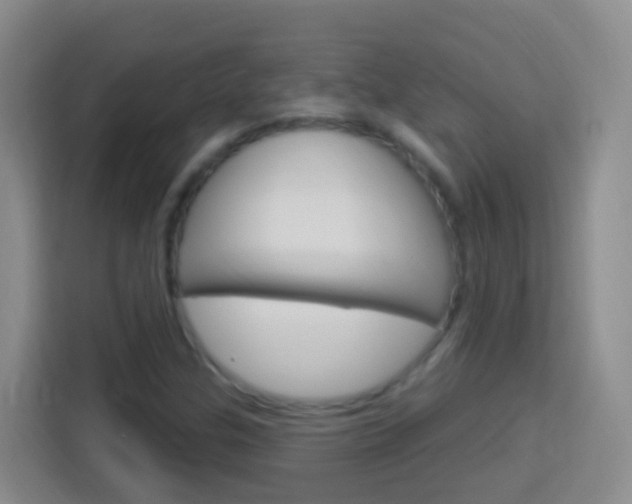 X0000114121307200910051251