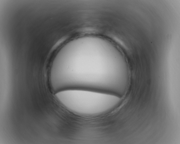 X0000114121309200910051251