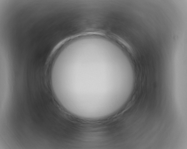 X0000114121310200910051251
