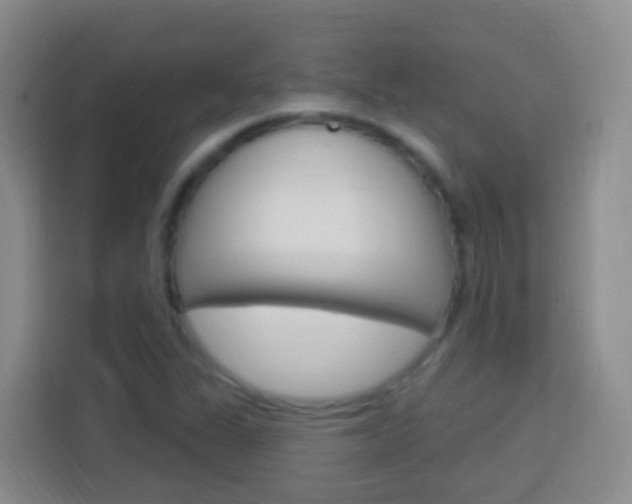 X0000114121311200910051251