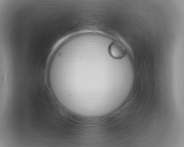 X0000114121320200910051251