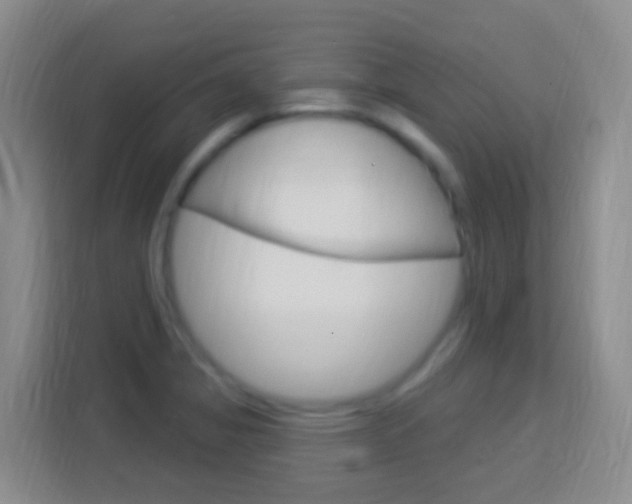 X0000114121325200910051251